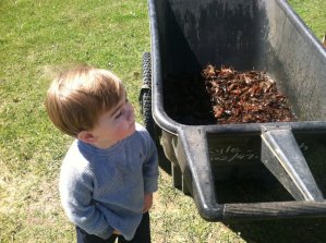 What fun all the big and little kids have!  Jacob Proctor eyes the mudbugs! 
